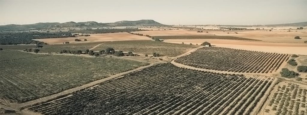 PORTADA CANO BODEGA VINOS ALMANSA ALBACETE 