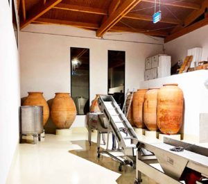 Lee más sobre el artículo Bodegas Cano apuesta por la elaboración de sus nuevos vinos en tinajas y renueva sus antiguas instalaciones del año 1860
